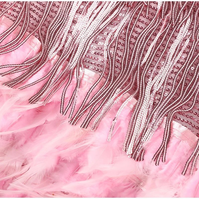 Brielle - Mini robe en plumes